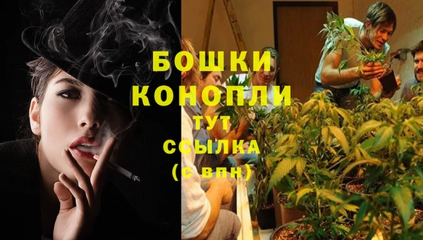 стаф Волоколамск