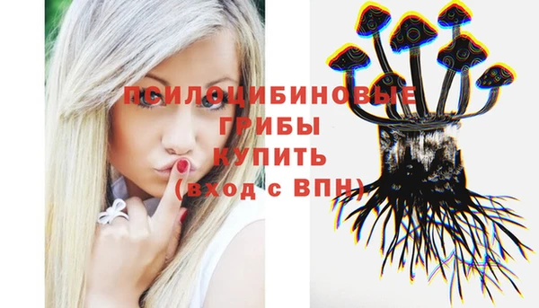 ешки Вязьма