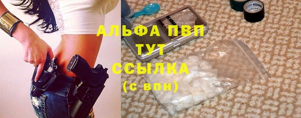 стаф Волоколамск