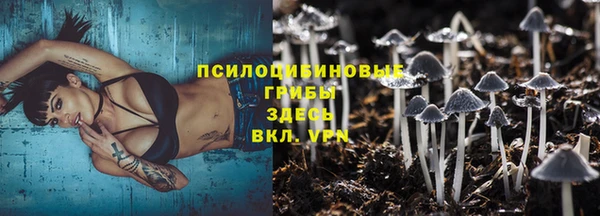 стаф Волоколамск