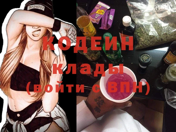 хмурый Вяземский
